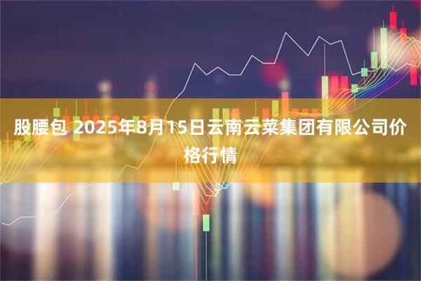 股腰包 2025年8月15日云南云菜集团有限公司价格行情
