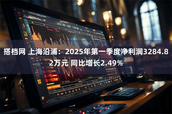 搭档网 上海沿浦：2025年第一季度净利润3284.82万元 同比增长2.49%