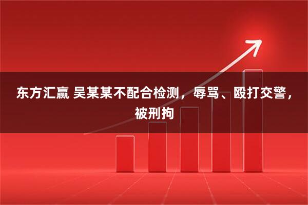 东方汇赢 吴某某不配合检测，辱骂、殴打交警，被刑拘